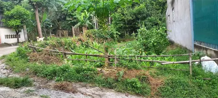 ĐẤT SIÊU ĐẸP - GIÁ ĐẦU TƯ- CHÍNH CHỦ  Cần Bán Lô Đất Tại  Xã Sơn Bình, hương sơn , hà tĩnh