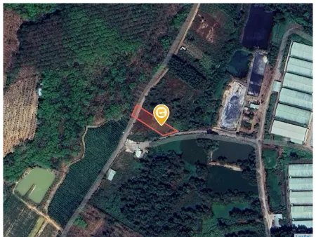 Bán đất 1086m² ngang 17m giá 1.8 tỷ tại Xã Tân Định Huyện Bắc Tân Uyên