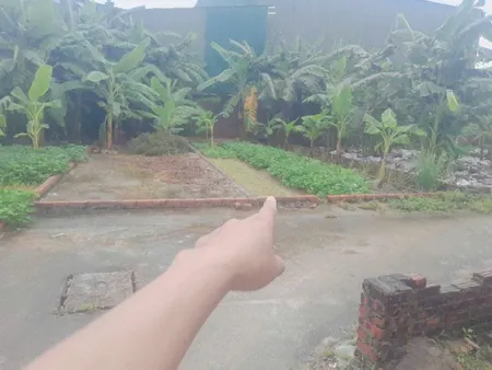 Bán đất 80m² ngang 6m giá 3.1 tỷ tại Xã Tiên Dược Huyện Sóc Sơn