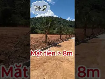 Bán đất 501 m2 Búng Gội, đường 9m, Sát đường lớn, quy hoạch thổ cư