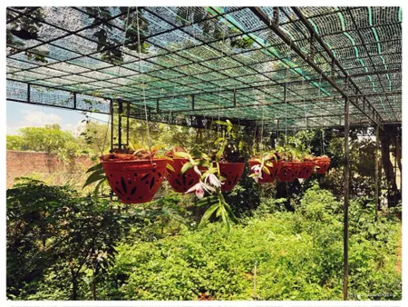 Cần chuyển nhượng lại HomeStay cực đẹp đang kinh doanh tại Pleiku - Gia Lai (Tin Hết Hạn)