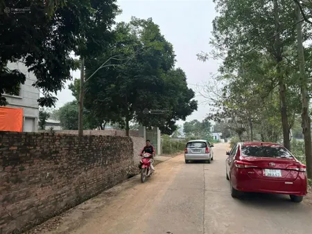 Bán đất tại hướng đạo, tam dương, vĩnh phúc giá tốt, 6,6 tỷ, 1039,2 m2