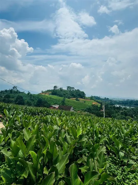 View hồ view sông đà siêu đẹp đến là ưng