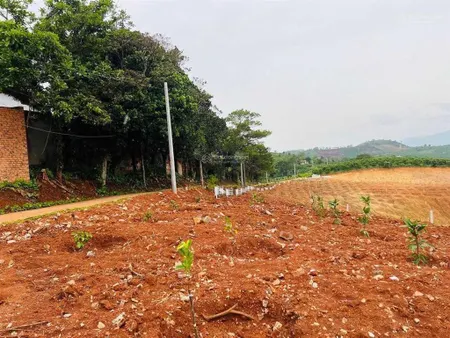 Ra nhanh lô đất ngộp gần 300m2 sẵn 150m2 thổ cư, đường ra hơi ra vào thoải mái tại nam hà
