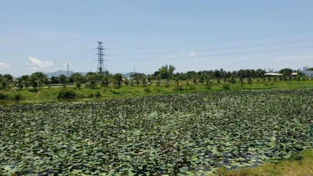 Bán đất 1992.4m2 sát cầu sông tắc, view sông, đường võ nguyên giápvĩnh trung nha trang (8tr/m2)