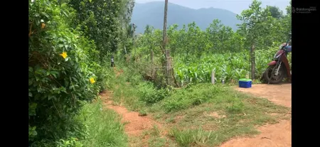 Bán đất xuân trường xuân lộc. cách dt766 1km sát thị trấn gia ray