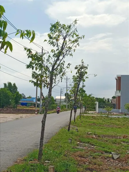 Đất ở đô thị thị trấn cần đước, shr, công chứng ngay