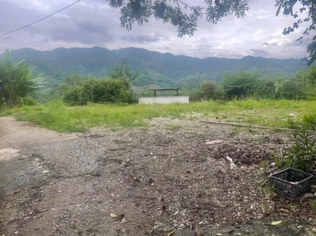 Bán nhà có kho bãi thích hợp để làm trang trại, nhà vườn, home stay tại bản tà lèng