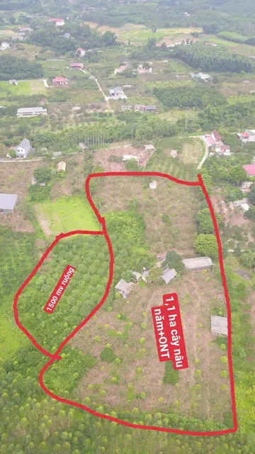 CẦN BÁN LÔ ĐẤT VƯỜN ĐẸP TẠI XÃ ĐỒNG TÂM -  HUYỆN YÊN THẾ