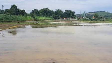 Bán đất thôn bái xuân vĩnh phúc vĩnh lộc