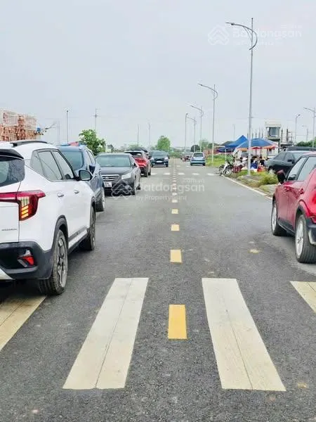 Bán đất đấu giá dự án khu đấu giá mới phan sào nam,