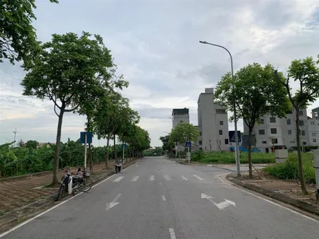 Hàng hiếm dt 120m2/mt 6,15m đất phân lô vỉa hè, oto tránh, khu tái định cư trâu quỳ/giá 17 tỷ