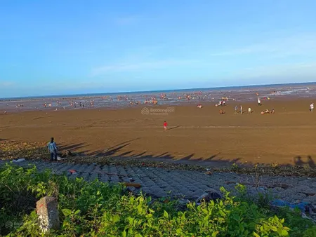 Bán đất biển tân thành (cách đê biển 100m), ô tô vào tận nơi