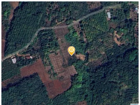 Bán đất 1300m² ngang 16m giá 750 triệu tại Xã Lộc Điền Huyện Lộc Ninh
