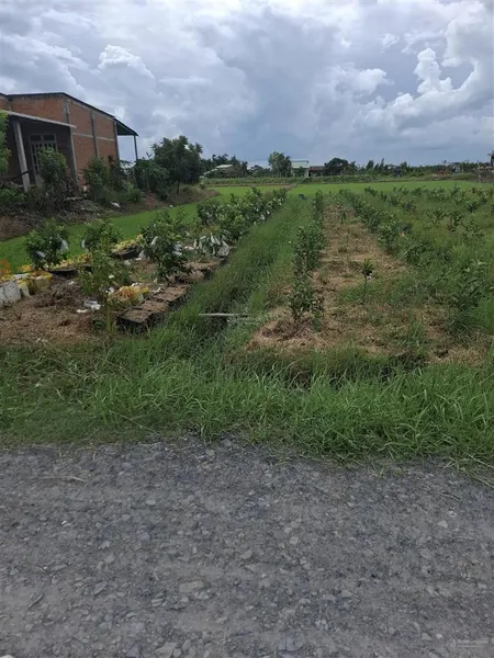 Bán đất tại thị trấn đông thành, 600 triệu, 150m2, giá cực chất