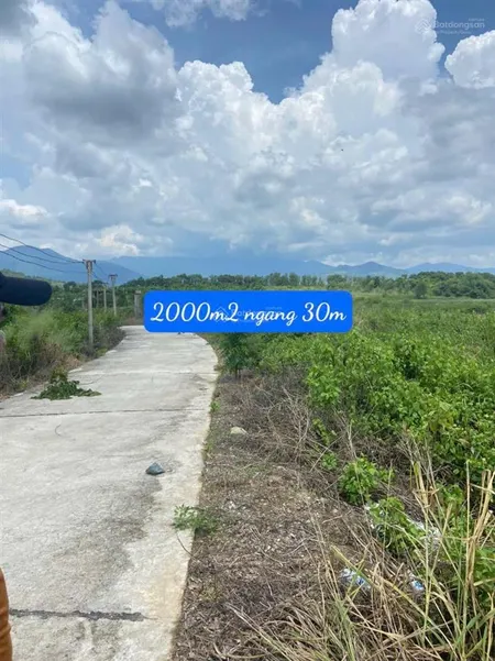 Bán đất 2000 m2, ngang 30 m, xã diên thọ, giá 1.6 tỷ (cách ql27c chỉ 400m) đất bhk