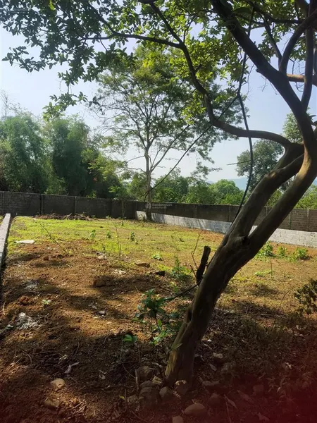 Gấp gấp! chính chủ e đang cần tiền gấp muốn cát lỗ siêu phẩm cực đẹp, gần khu cn nhuận trạch ls, hb