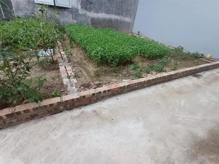 Bán đất lệ chi gia lâm 2 thoáng ô tô đỗ hiếm duy nhất độc quyền 2,07 tỷ.