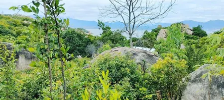Đất bình lập, sát sao biển resort 699 triệu