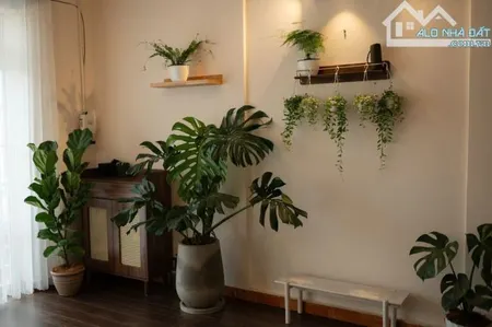 ✨🏡✨ cần bán nhà phố mặt tiền đường ngô quyền – p.6, đà lạt