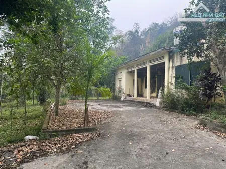 🔥Đất Săn Hàng Hiếm – 2300m² Lưng Tựa Núi, View Sân Golf – Giá Rẻ Không Tưởng!