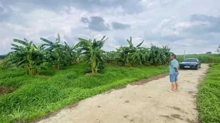 Bán gấp 2000m2 đất xã xuân đông, tỉnh đồng nai, cách đường đt 765 2km, hẻm xe tải ac sớm