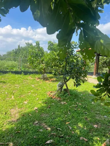 Bán đất thổ cư và đất nông nghiệp p28 bình quới khu bán đảo thanh đa, quy hoạch đẹp nhất sài gòn
