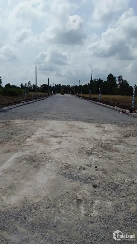 Sang lại ngay 4500m2 đất vườn trồng cây Bến Lức Long An (Tin Hết Hạn)