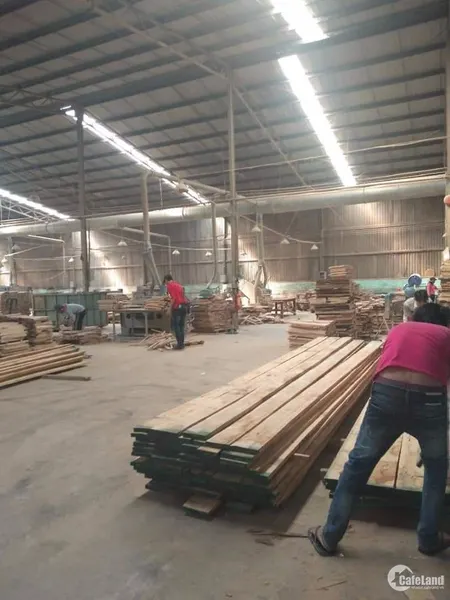 Cần bán gấp nhà xưởng ở Dĩ An Tổng Diện tích: 5000m2, Giá: 72 Tỷ (Tin Hết Hạn)