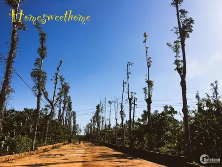 Bán gấp đất trang trại cách đường quốc lộ 663 500m IaPhìn, Chưprông, Gia Lai. (Tin Hết Hạn)
