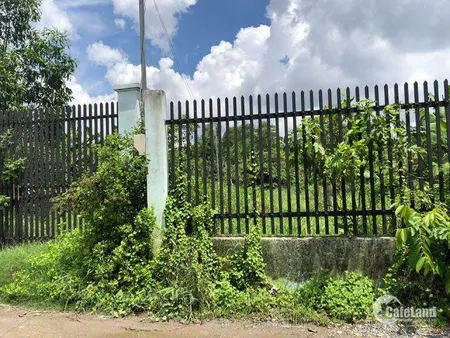 CHỈ 1 LÔ DUY NHẤT 1458M2 NẰM SÁT UBND PHONG PHÚ, LOVERA PARK KHANG ĐIỀN BÌNH CHÁNH, GIÁ 13,5 TỶ. THÍCH HỢP XÂY NHÀ XƯỞNG, KHO BÃI. LIÊN HỆ THÁI THUỲ 0938729696 (Tin Hết Hạn)