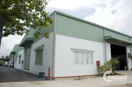 Con u não cô Sáu, bán gấp xưởng 1027m2 ngang 21,5m mt Huỳnh tấn Phát, giá chỉ 2,8 tỷ (Tin Hết Hạn)