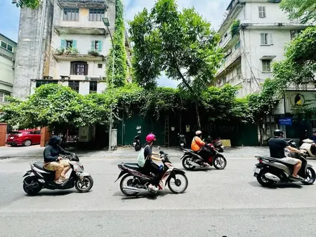 401M ĐẤT, MT: 15M, 266 TỶ - MẶT PHỐ CỔ LÊ QUÝ ĐÔN, HAI BÀ TRƯNG (Tin Hết Hạn)
