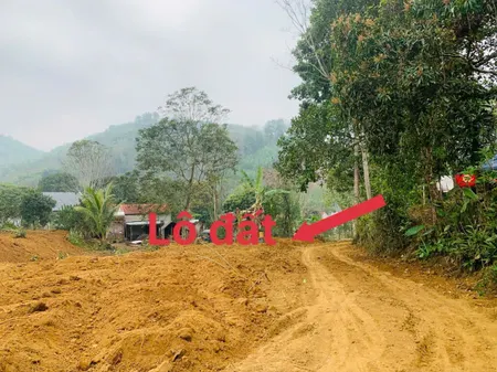 Giá sinh viên_tiềm năng cao