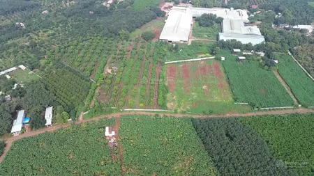 Bán lô đất siêu rẻ sông xoài 2,8ha 300m2 tc giá 28 tỷ. tài 0707 004 ***