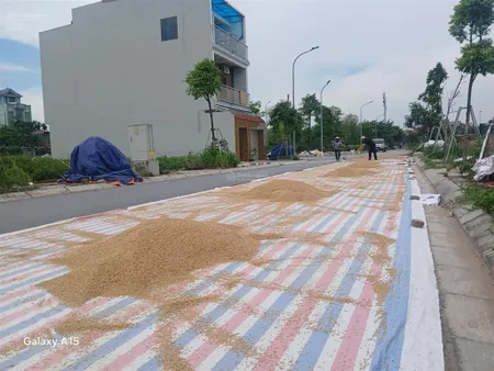 Đấu giá x7 liên hàlô góc 3 mặt thoáng siêu đẹp hoa hậu liên hà