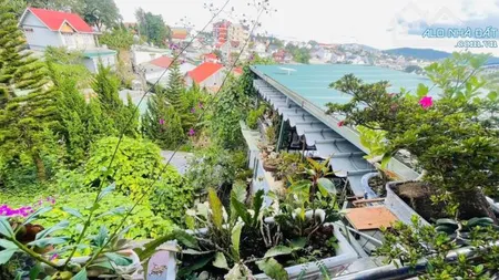✨🏡✨ Cần bán Homestay mặt tiền đường Lý Nam Đế – P.8, Đà Lạt | Giá siêu đầu tư!