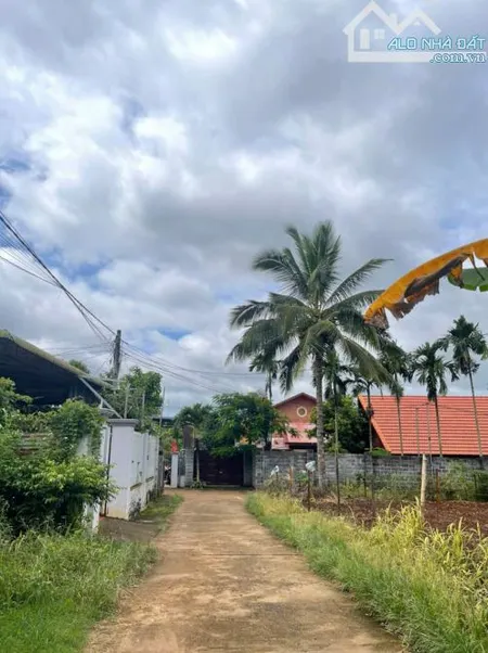 SIÊU PHẨM ĐẤT CAO THÀNH EKAO GIÁ NÉT 6.2*24 990tr