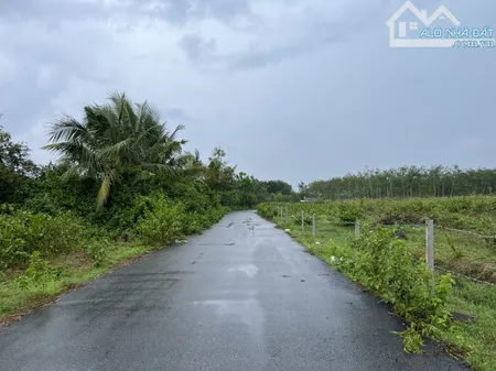Sở hữu ngay lô view suối Hoà Hội đẹp như mơ