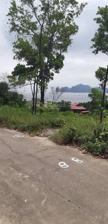 Bán đất biển biệt thự tuần châu giá từ 22tr/m2 tùy vị trí, m2, mrs bình 0912 106 ***