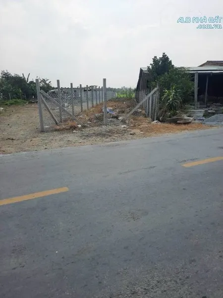 ✅ Đất thổ cư mặt tiền đường tỉnh lộ 833 xã Nhơn Thạnh Trung - 5.5 x 50 (240m2) - 3 tỷ 500
