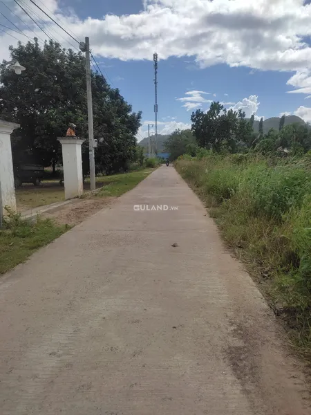 E cần bán gấp lô đất vườn rẻ nhất khu vực