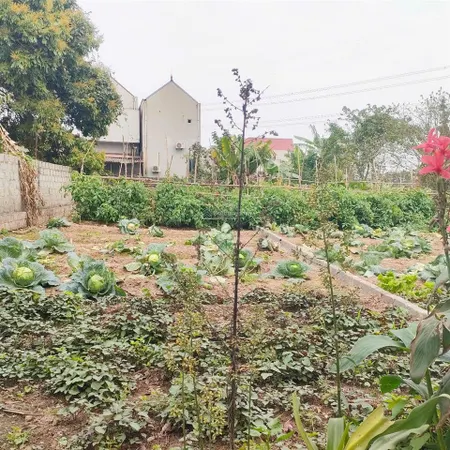 Siêu phẩm đẹp! bán 2.6 tỷ/99.2m2 full thổ cư sát đường vành đai 4 đường ô tô tận đất, 0961 532 ***