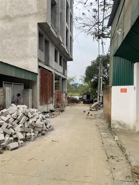 Dt 115 giá rẻ nhất , thôn 1 tân xã , thủ phủ nhà trọ , cách đh 200m,