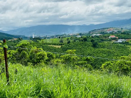 Đất ở xã Nam Ban mới, ven Đà Lạt 20km tới Sân bay Liên Khương. Giá 868 triệu/ 650m2. TC 100m