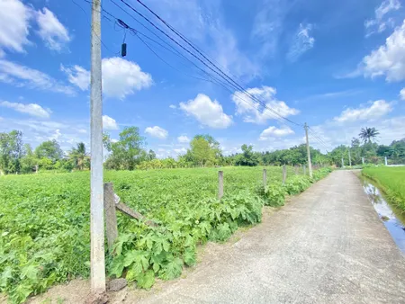 Bán đất 1675m² giá 5.5 tỷ tại Xã An Nhựt Tân Huyện Tân Trụ