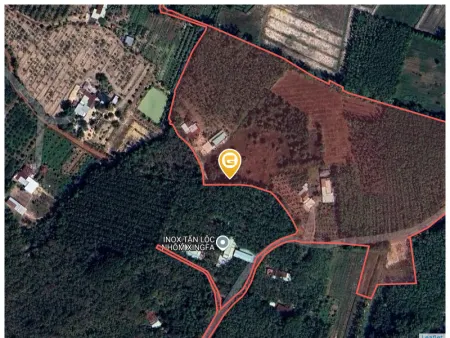 Bán đất 7000m² ngang 70m giá 10.5 tỷ tại Xã Định Thành 0815422197