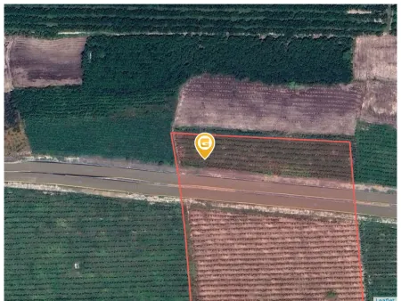 Bán đất 4037m² ngang 83m giá 24 tỷ tại Xã Tân Long Huyện Phú Giáo