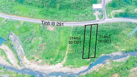 Bán đất 250m² ngang 5m giá 800 triệu tại Thị trấn Thanh Sơn Huyện Sơn Động