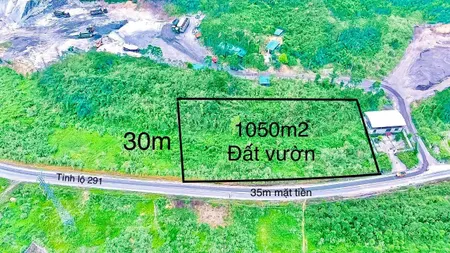 Bán đất 1050m² ngang 35m giá 2.1 tỷ tại Thị trấn Thanh Sơn Huyện Sơn Động